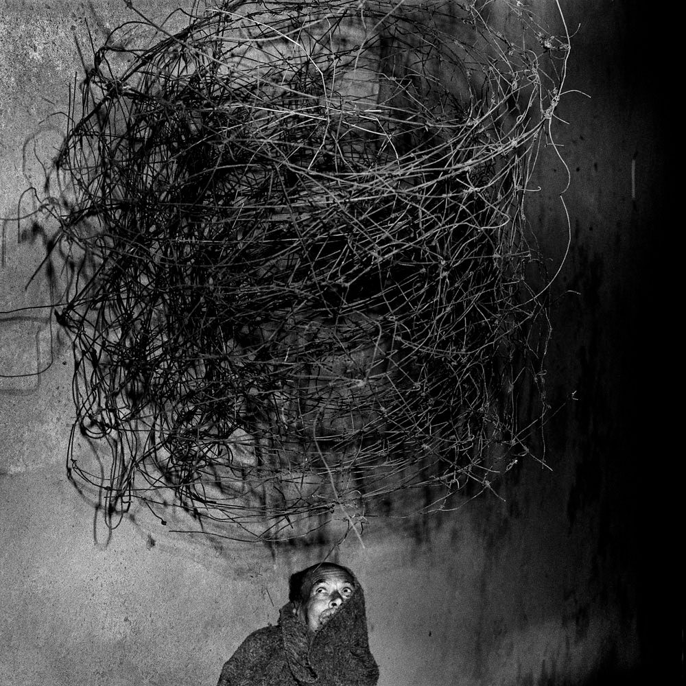 Roger Ballen | Zemack Contemporary Art