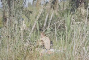 Image description